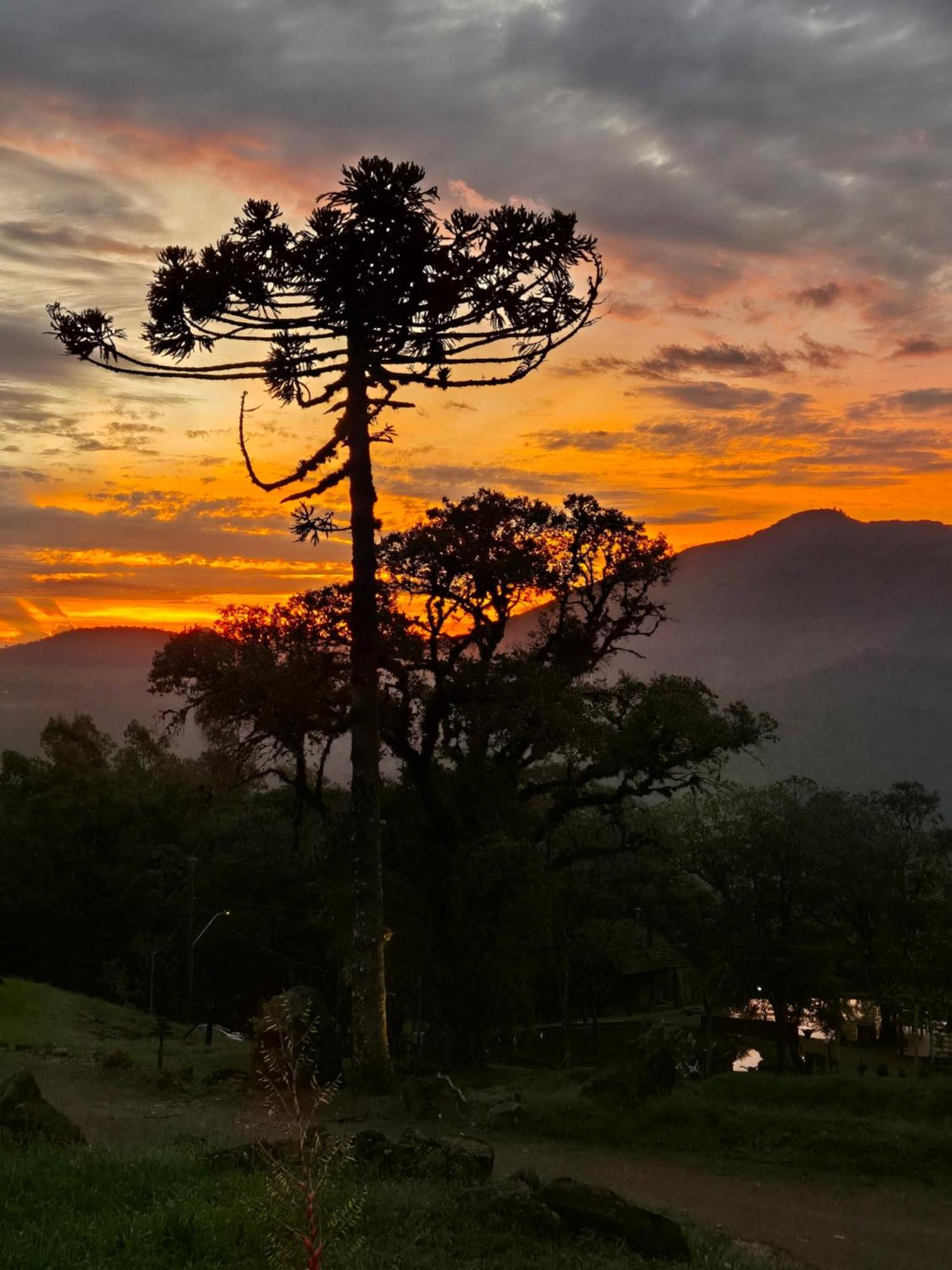 Alto Da Colina Caraa Rs Villa Bagian luar foto
